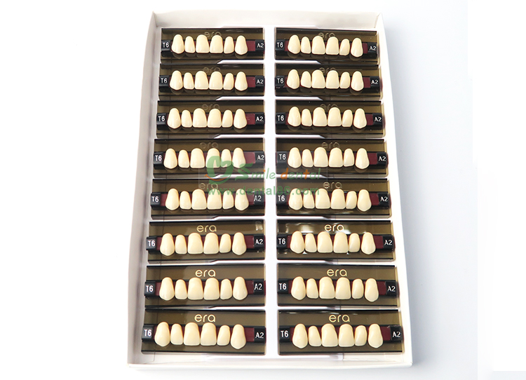R103 Three Layer Acrylic Resin Teeth